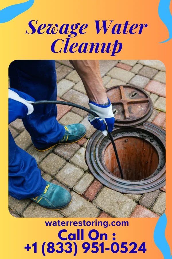 Sewage Water Cleanup in Washburn, MO